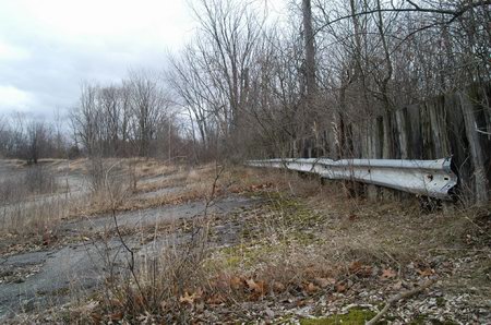 Jackson Motor Speedway - Track Being Reclaimed By Nature (newer photo)